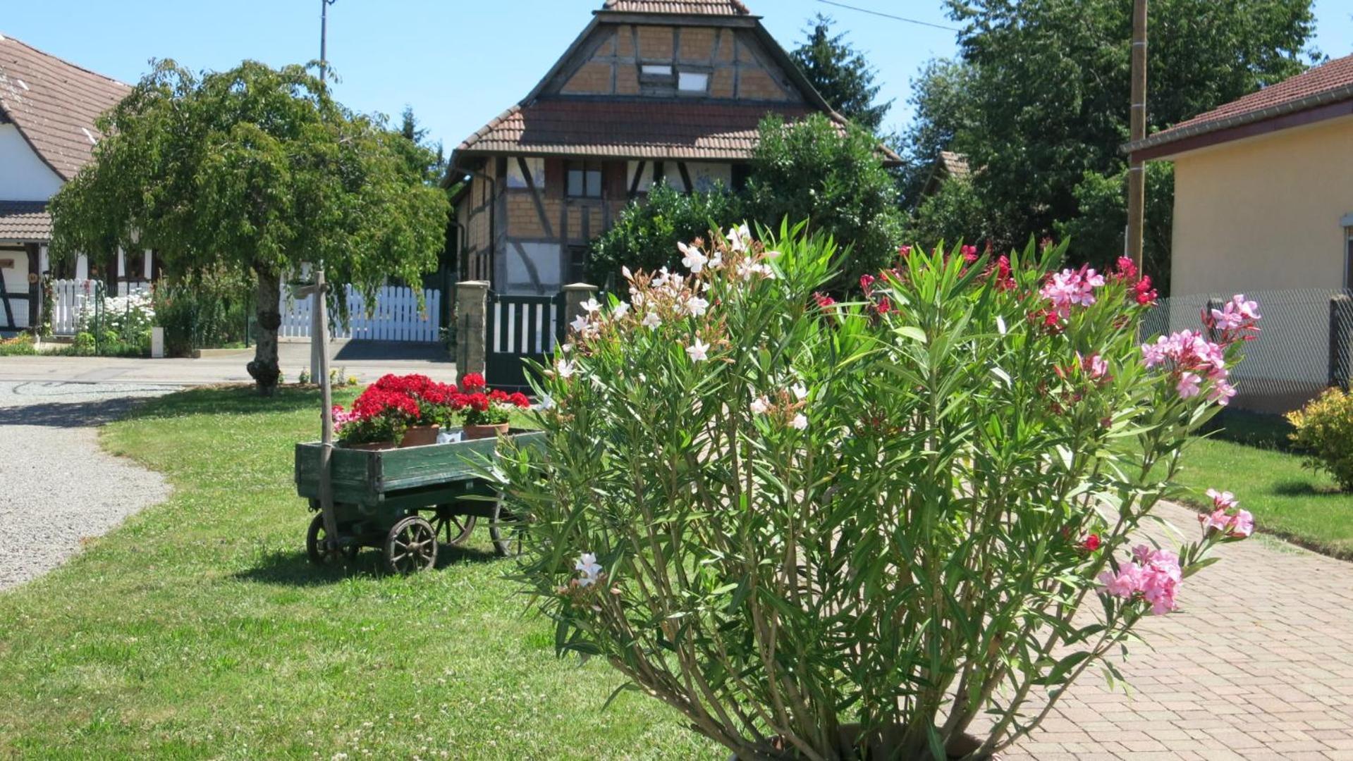 Gite Les Herissons Guevenatten Extérieur photo